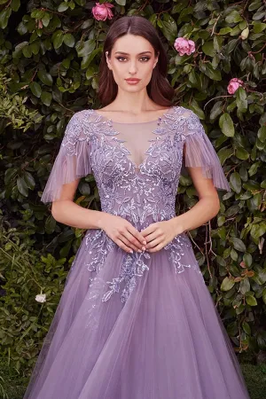 EMBELLISHED LACE LAYERED TULLE  BALL GOWN W/ILLUSION V-NECKLINE & SHORT SLEEVES