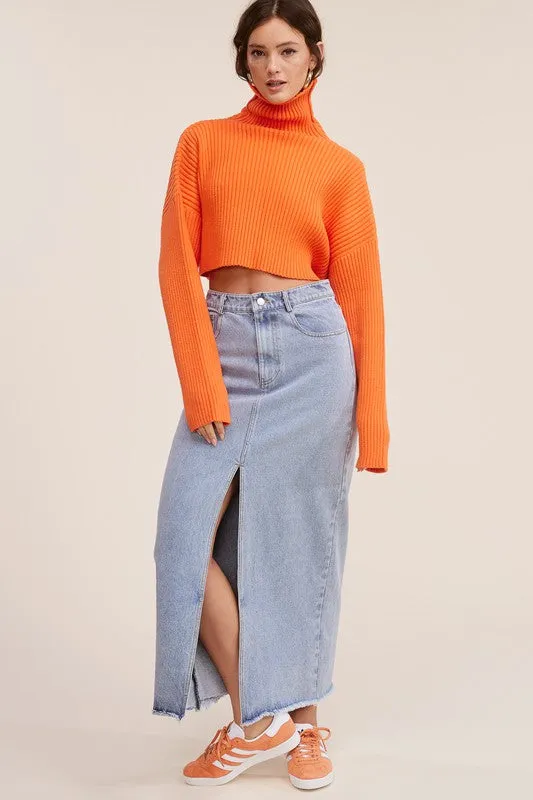 Tezza Denim Maxi Skirt